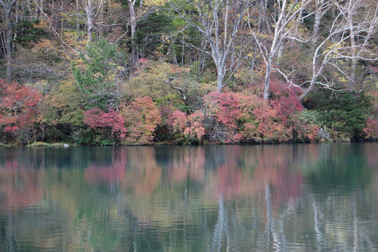 奥日光湯の湖に映る紅葉page-visual 奥日光湯の湖に映る紅葉ビジュアル