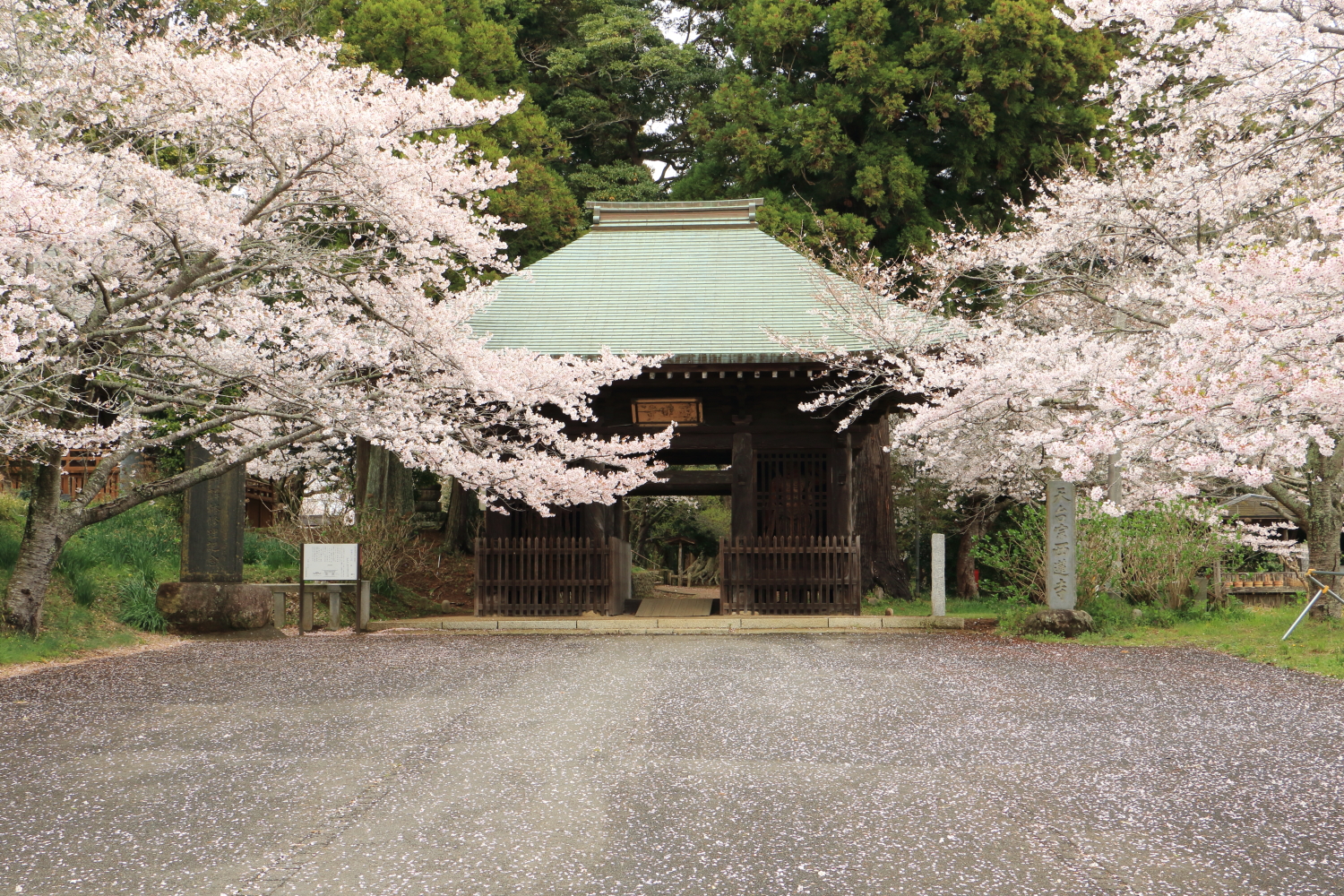 西連寺page-visual 西連寺ビジュアル