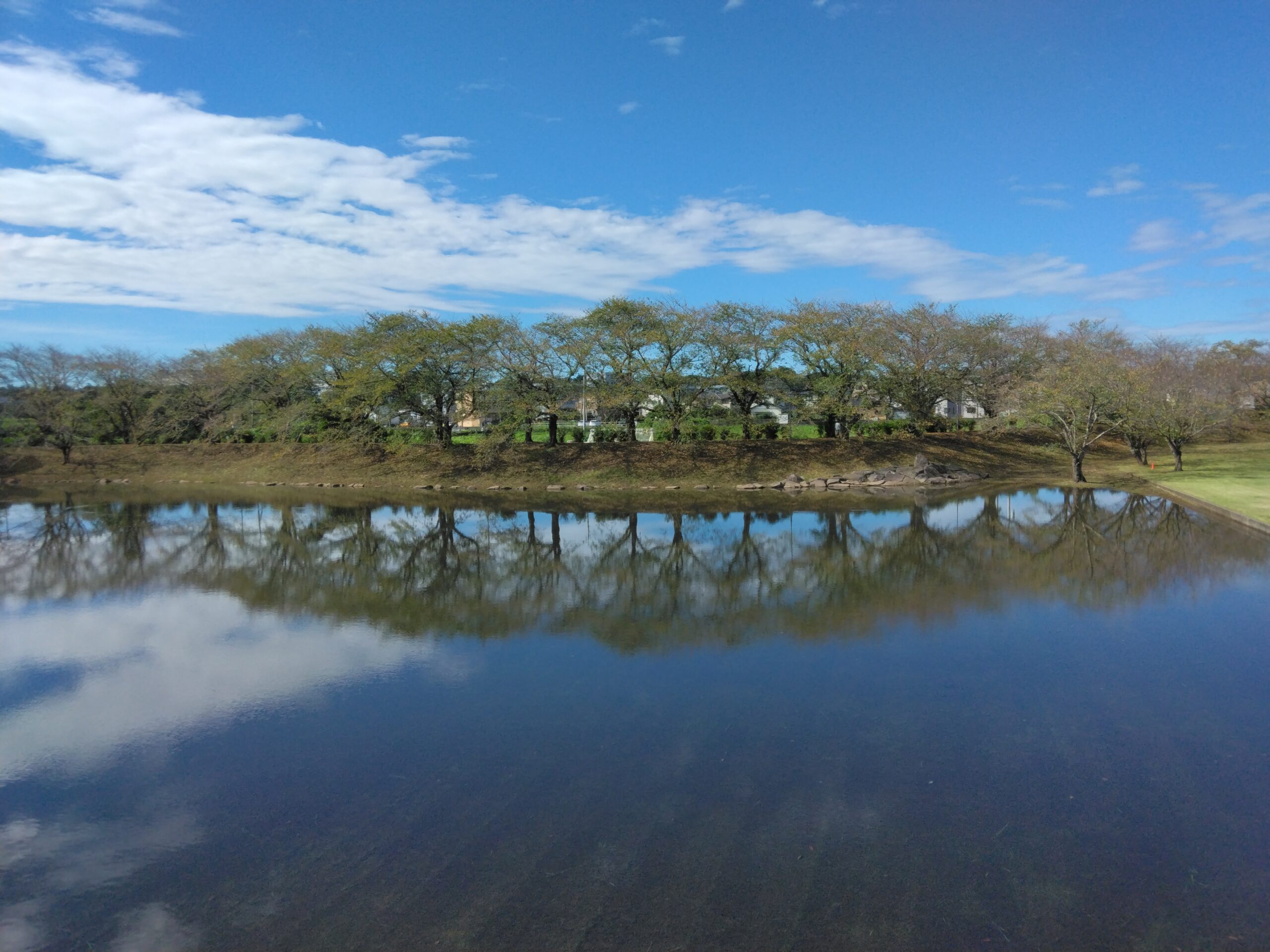 反町の森公園page-visual 反町の森公園ビジュアル